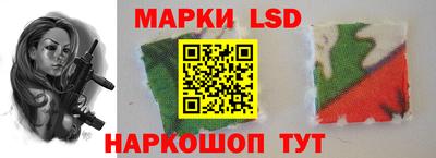 мдпв Гатчина
