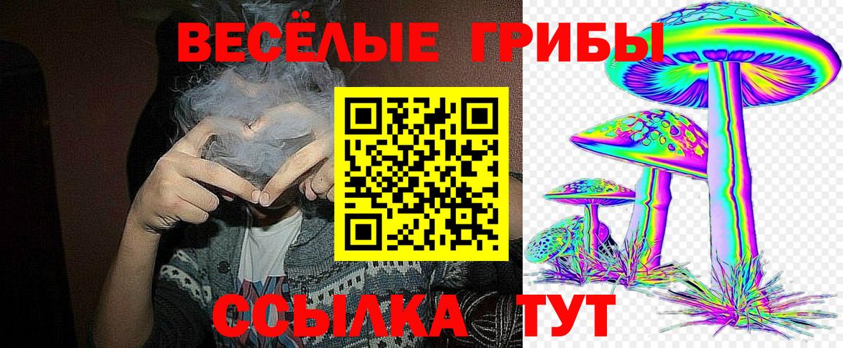 Галлюциногенные грибы Cubensis  Вход с VPN  Видное 