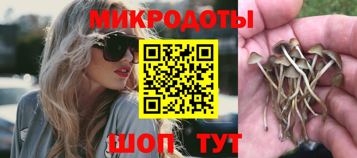 Галлюциногенные грибы ЛСД  Видное 