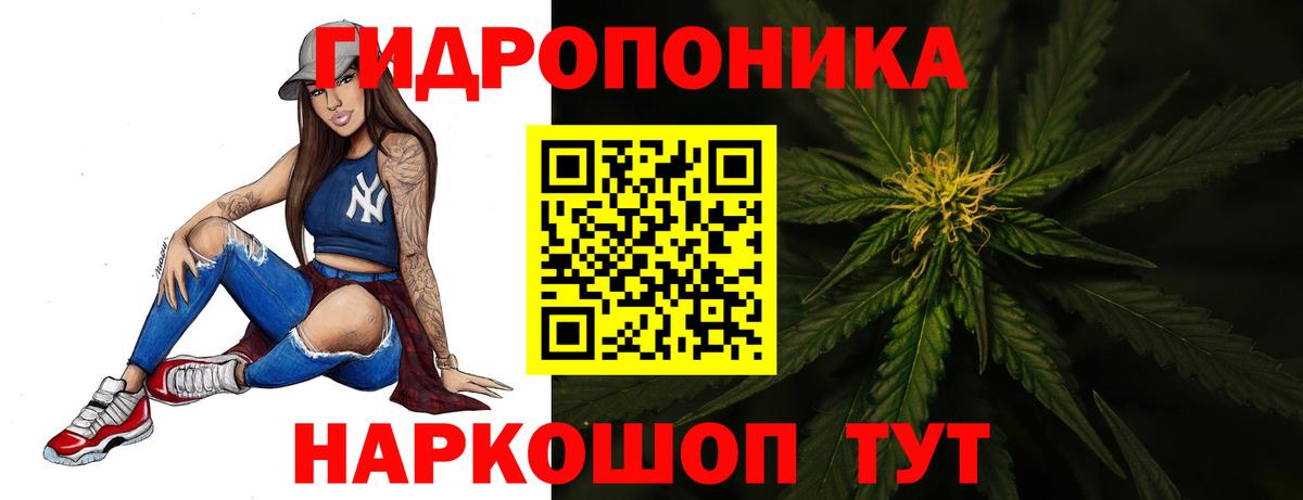 Конопля гибрид Видное